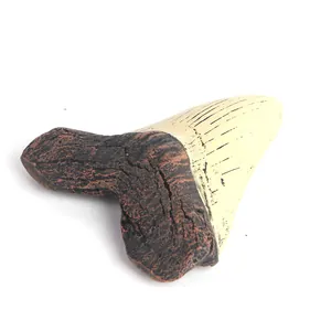 Detailansicht der fossilen Textur auf Megalodon-Haizahn-Replik aus Harz-Ornament