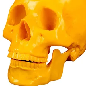 Macro view showing the detailed texture of a vibrant yellow resin human skull model