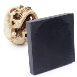 Modèle de crâne humain réaliste en résine pour Halloween avec un bloc noir décoratif