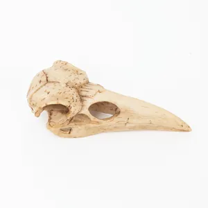 Gedetailleerde zijweergave van een realistische ravenschedel van hars voor gothic decor