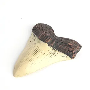 Makrodetailansicht eines Megalodon-Haifischzahns aus Kunstharz als fossiles Ornament