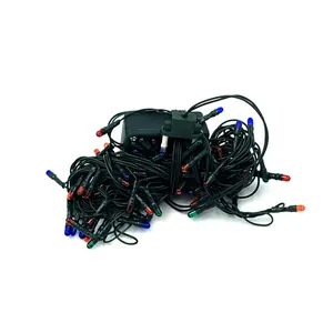 Gedetailleerd zicht op een bundel gekleurde kerstverlichting met 100 rijstlampjes