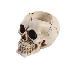 Vista dettagliata di un posacenere a forma di teschio in resina per decori Halloween