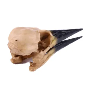Detailed side view of a realistic resin crow skull replica with black beak for gothic decor