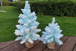 Vue détaillée de deux sapins de Noël bleus givrés avec des bases en toile de jute