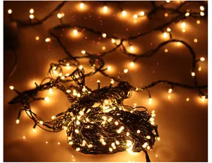 Close-up view of 3m warm yellow Christmas string lights with 40 glowing rice bulbs.