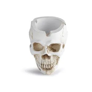 Detailed macro shot of white resin skull ashtray featuring vintage aged textures