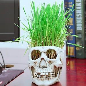 Detailed resin skull flower pot featuring realistic texture and lush green grass.