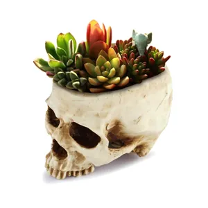 Detail view of a realistic resin skull planter with colorful succulent plants