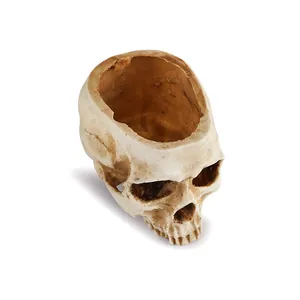 Realistic resin human skull bowl ornament for Halloween decor and movie prop use