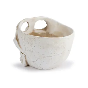 Detailed macro view of a realistic resin skull flower pot for Halloween home decor