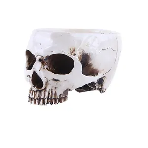 Detailed macro view of a realistic skull-shaped resin planter with aged antique finish