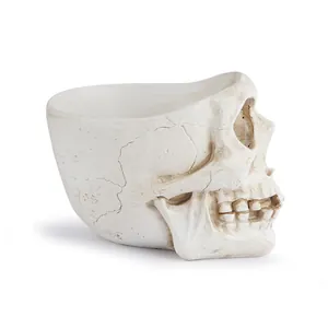 Realistic anatomical resin skull planter with bone texture for Halloween gothic decor