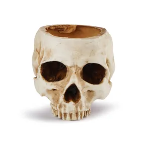 Front view detail of a realistic aged resin skull prop for Halloween home decoration.