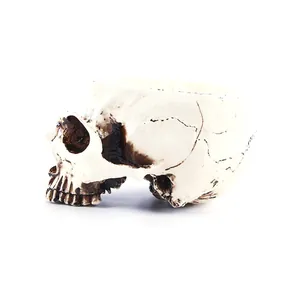Detail macro view of a realistic skull-shaped resin flower pot for Halloween home decor