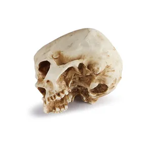 Detailed macro view of a realistic resin skull model prop for Halloween decorations