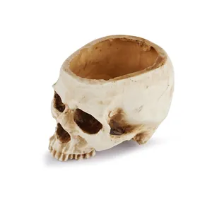 Realistic resin skull bowl container for Halloween decor and gothic desk organization