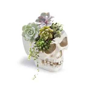 Close-up of a white resin skull planter filled with various green succulents 88 chars