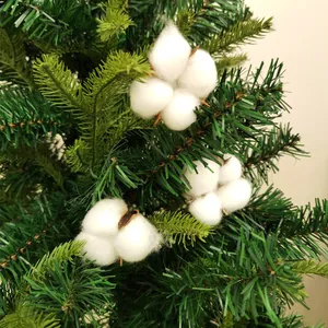 Gros plan de têtes de coton séché blanc naturel sur des branches de pin pour la déco.