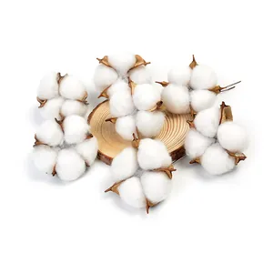 Gros plan de fleurs de coton séchées naturelles sur une tranche de bois rustique