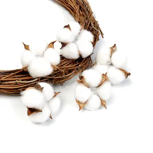 Détail macro de fleurs de coton séchées naturelles sur fond de couronne de vigne