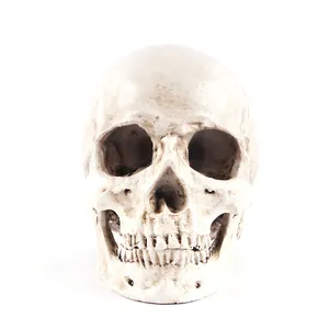 Réplique réaliste d'un crâne humain en résine 1:1 pour la décoration d'Halloween