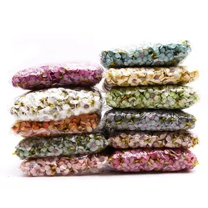 Dettaglio di testine di margherite in seta da 2 cm in set assortiti di vari colori