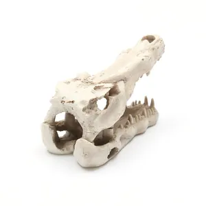 Realistische Krokodilschädel-Dekoration aus Harz für Aquarienlandschaften und Terrarien