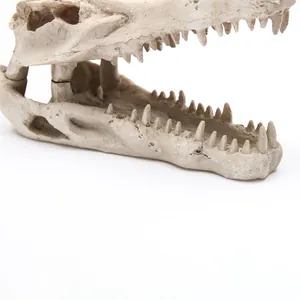 Detailaufnahme eines Krokodilschädels aus Harz für Aquarien mit realistischer Textur