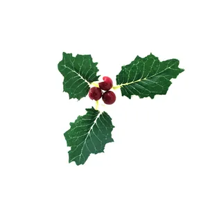 Artificial Christmas holly berries with three green leaves for festive DIY decorations