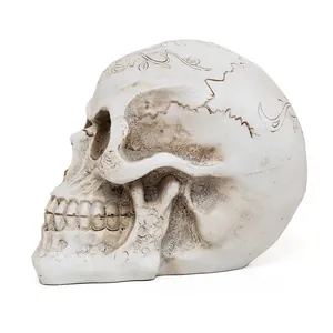Side profile detail of a realistic resin human skull with engraved floral patterns