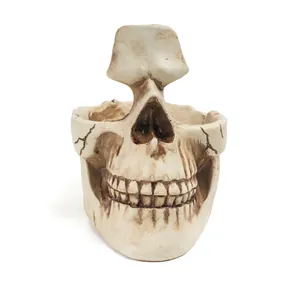 Detailed view of resin skull eyeglass holder and gothic desk organizer sculpture.