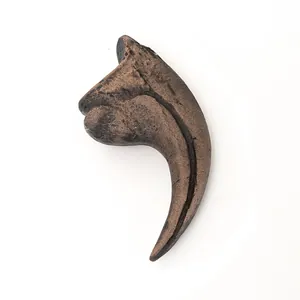 Close-up view of a realistic Velociraptor claw fossil resin replica for display.