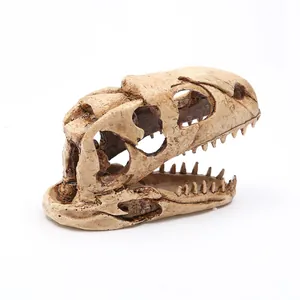 Detailansicht eines realistischen Dinosaurier-Schädels aus Harz für die Aquarium-Dekoration