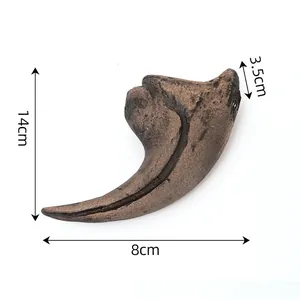 Velociraptor claw resin fossil replica with 14cm by 8cm size measurements