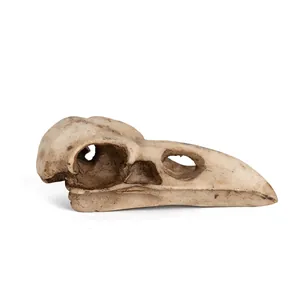 Detailed resin crow skull replica ornament for Halloween and Gothic theme party decor