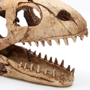 Nahaufnahme der realistischen Textur des Harz-Dinosaurier-Schädels für Aquarien