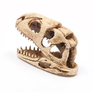 Detailansicht der gealterten Knochentextur des Dinosaurier-Schädel-Ornaments