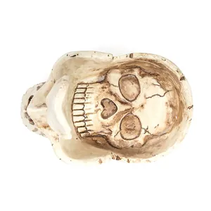 Detailed top-down macro view of a vintage resin skull sculpture tray for keys or glasses