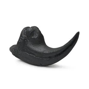 High-quality realistic Velociraptor claw fossil resin replica for collector display