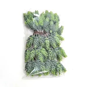 Macro view of realistic frosted green artificial pinecone bundle in clear plastic bag
