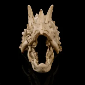Primer plano de una calavera realista de Triceratops en resina para acuario o decoración