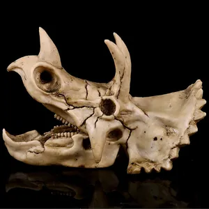 Detalle de fósil de cráneo de dinosaurio Triceratops realista para decorar el acuario