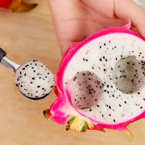 Stainless steel melon baller spoon for fruit and ice cream, dual-ended kitchen tool.