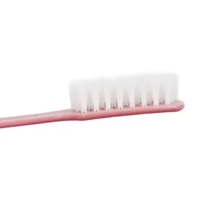 Soft bristle shoe cleaning brush detail, durable plastic handle for laundry and footwear care.