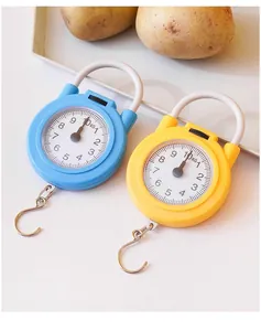Portable spring kitchen scale with iron hook, compact mini food weighing tool for home use.