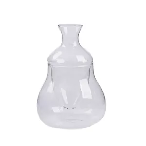 Decantador de sake de vidrio estilo japonés con compartimento interno para hielo frío.