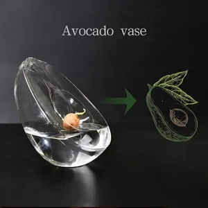 Minimalist avocado-shaped clear glass hydroponic vase for seed sprouting and growth