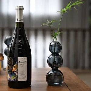 Vase à bulles élégant en verre gris pour plantes hydroponiques et décor de table moderne