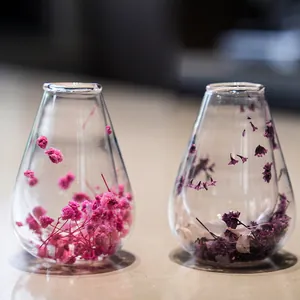 Élégantes tasses à maté en verre borosilicate à double paroi avec fleurs séchées roses